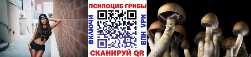 Псилоцибиновые грибы мухоморы  Красноуральск 